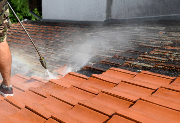 Best Garage Pressure Washing  in Kutztown, PA